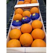 Апельсины из Испании фото