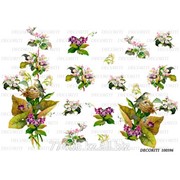 Рисовая карта 100596 фото