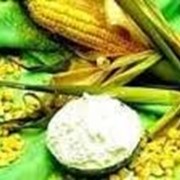 Декстрин кукурузный фото
