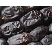 Финик темный, Иран фото