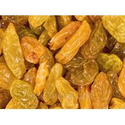 Изюм джамбо золотой, Чили фото