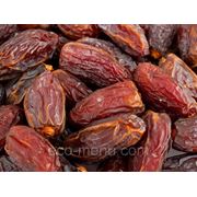 Финик светлый, Иран фото