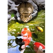 Картина по номерам Котенок с рыбками фото