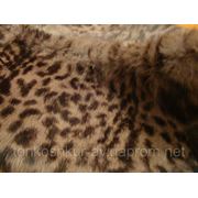 Мех одёжный воротник кролик леопард сирен. фотография