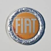 Эмблема Fiat 73 мм желтый фотография