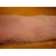 Мех натуральный норка самец розовый фото