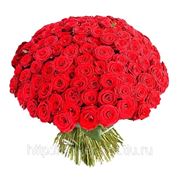 VIP букет из 101 красной розы (1) фото