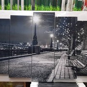 Модульная картина пятипанельная 80 х 125 см Черно-белое фото парка в большом городе фото