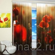 Фотошторы “Яркие соцветия“ фото