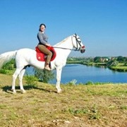 Конные прогулки на природе.Одесская область, Великодолинское, Большая Долина фото