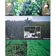 Удобрение для растений и с/х культур, природный антибиотик для растений Агрозин