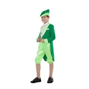 Карнавальный костюм для детей Птица Феникс Кузнечик зеленый детский, 134-140 см