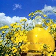 Рапсовое масло для производства биодизеля фото