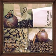Arabica Nicaragua Maragogype 20scr зерновой кофе фото