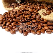 Кофе арабика фотография