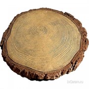 Плитка “Сруб дерева“ фотография