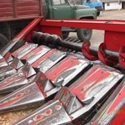 Продам кукурузные жатки Орош 6-ти рядные с измельчителем. фотография