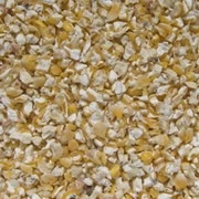 Дробленая кукуруза ф. 3мм состоит из зародыша, стенок зерна, крупы фото