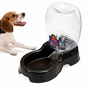 946 мл Pet Кот Собака Автоматический дозатор питьевой воды Кролик Пищевой напиток Блюдо Чаша для домашних фото