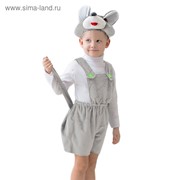 Карнавальный костюм “Мышонок“, комбинезон с хвостом, шапка 3-5 лет рост 104-116 фотография