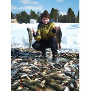 Круизы по Байкалу и рыбалка фото