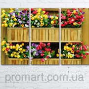 Модульна картина на полотні Квіти в дерев'яному вазонку код КМ6090-055 фотография