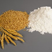 Компания "Украинский пищевой продукт" производит муку пшеничную первого сорта. Продажи по всей Украине.