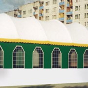 Павильон с арочной крышей фото