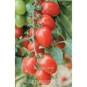 Семена черри-томата Черри Ира F1. 1000 семян фотография