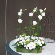 Обслуговування з офорлення ресепшн бізнес-композиціями з квітів на постійній основі фото