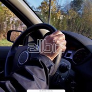 Трезвый водитель фото