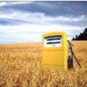 Биотопливо - Биодизель полученный при переработке продуктов сельского хозяйства фото