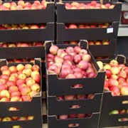 Яблоки разных сортов - свежий урожай (продажа) фото