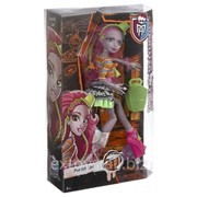 CDC38/CFD17 Кукла Monster High Монстры по обмену - Марисоль Кокси фото