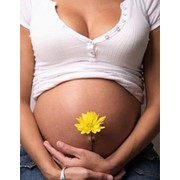 Услуги по ведению беременности фото