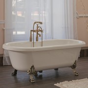 Акриловая ванна Леонесса Bronze фото