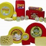Сыр Ливенский фото