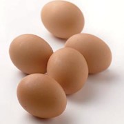 Свежие куриные яйца