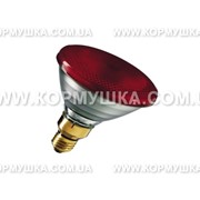 Лампа инфракрасная PAR 38 красная (175 W)