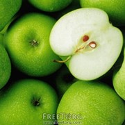 Саженцы яблони (зимние) фото