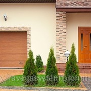 Ворота секционные Алютех фото