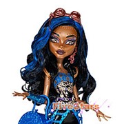 Кукла Монстер хай Робекка Стим с питомцем Monster High Robecca Steam Doll
