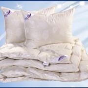 Одеяло и подушка пух-перо. Коллекция Нежность фото