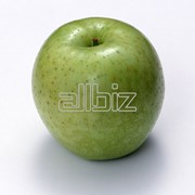 Яблоки фотография