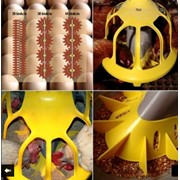 Системы кормления для птицеферм фото