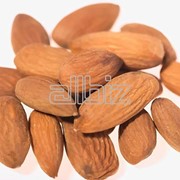 Миндаль сырой (Таджикистан) фото