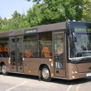 Автобус МАЗ-226 фото