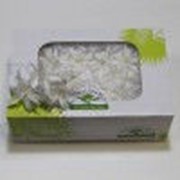 Цветок Нардос белый фото