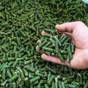 Гранулы люцерны – витаминно-травяная мука фото