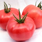 Семена томатов F1 Розалетта фотография